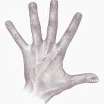myhandweb